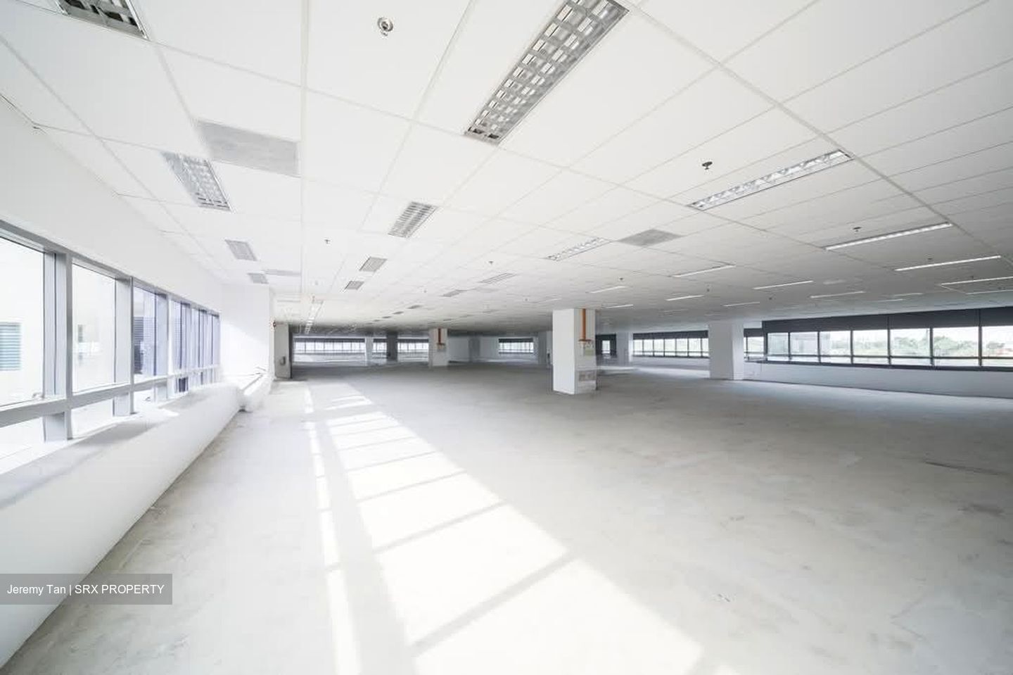 Techpoint (D20), Factory #581158831